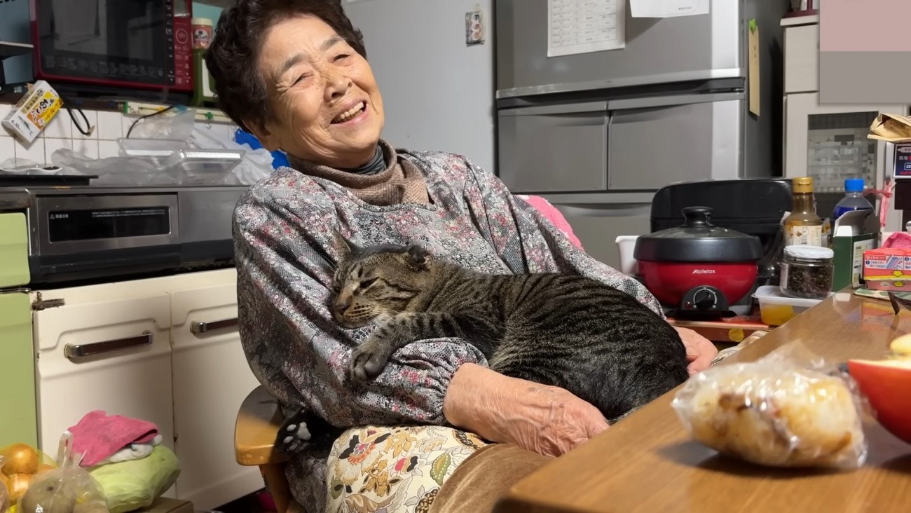 おばあちゃんと猫