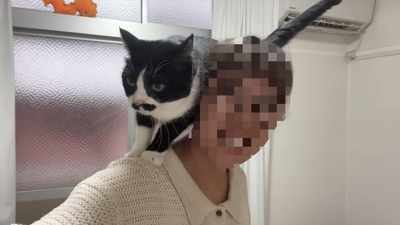 肩の上のくろまめちゃん