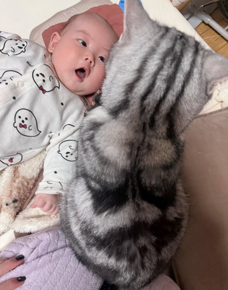 赤ちゃんを見下ろす猫