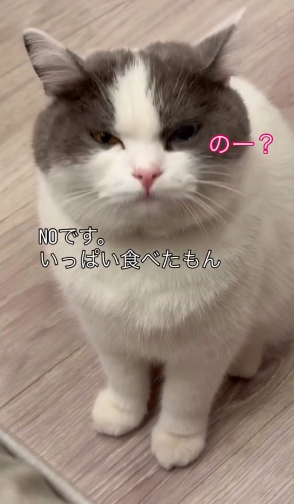 「のー？」と書かれている