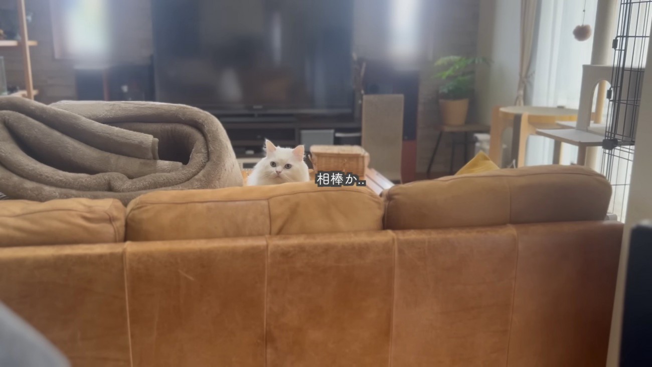 息子さんだとわかったシロちゃん