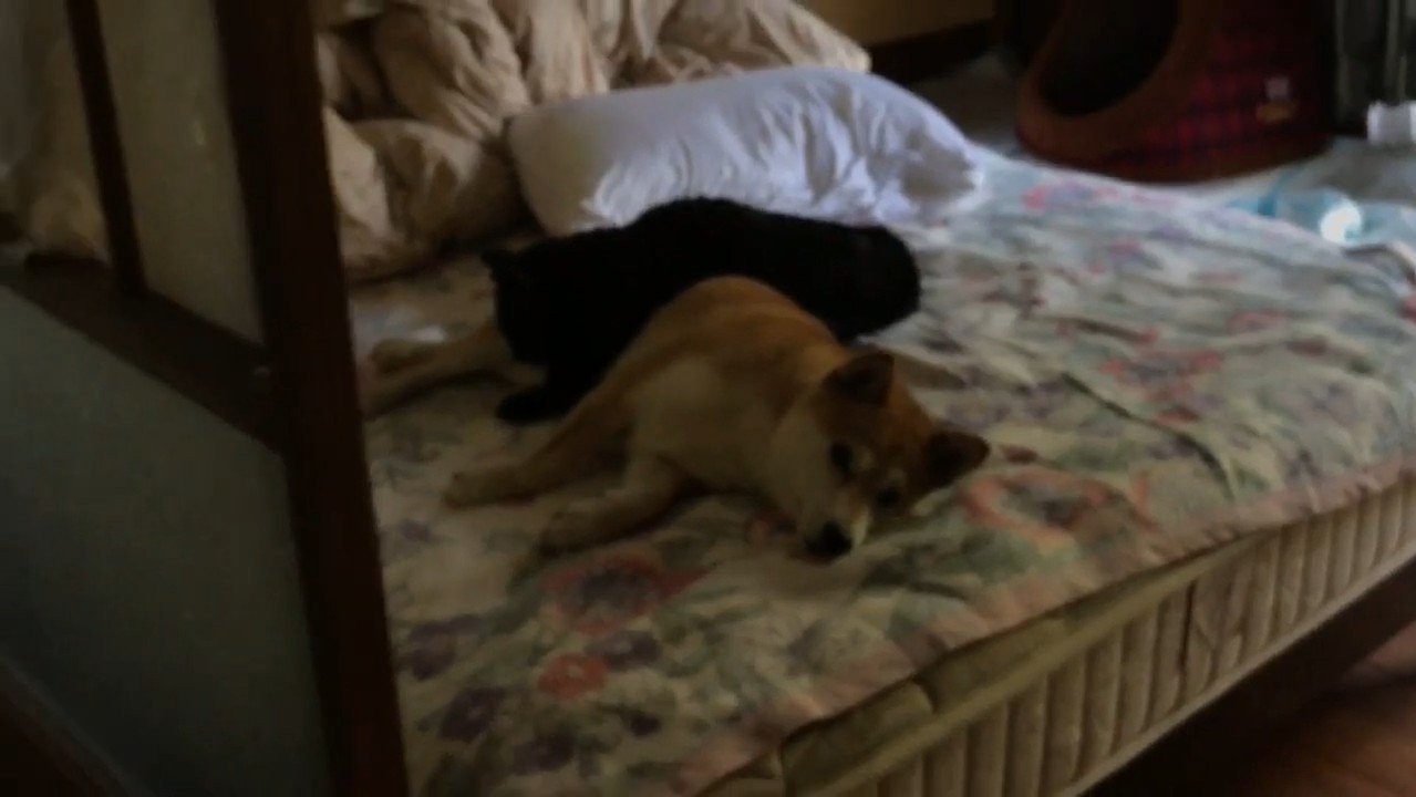 少し離れて