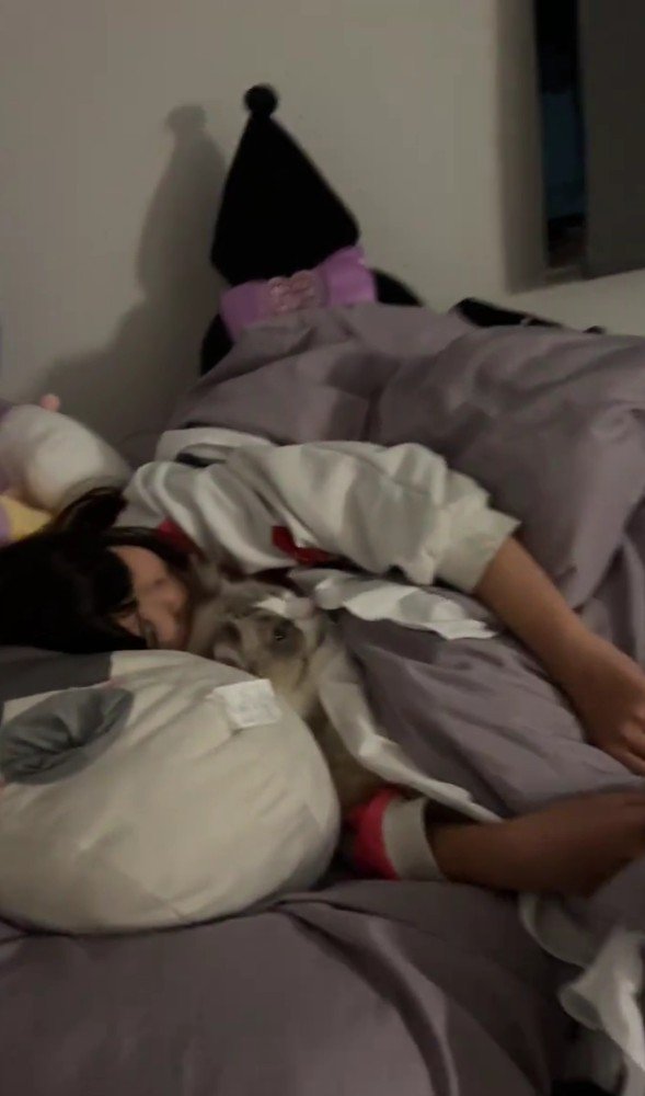 猫と寝る女の子