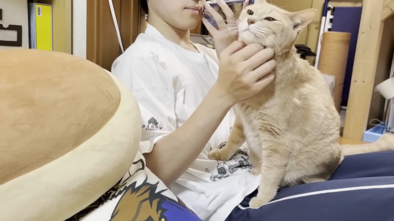 息子さんのお膝の上に乗る猫ちゃん