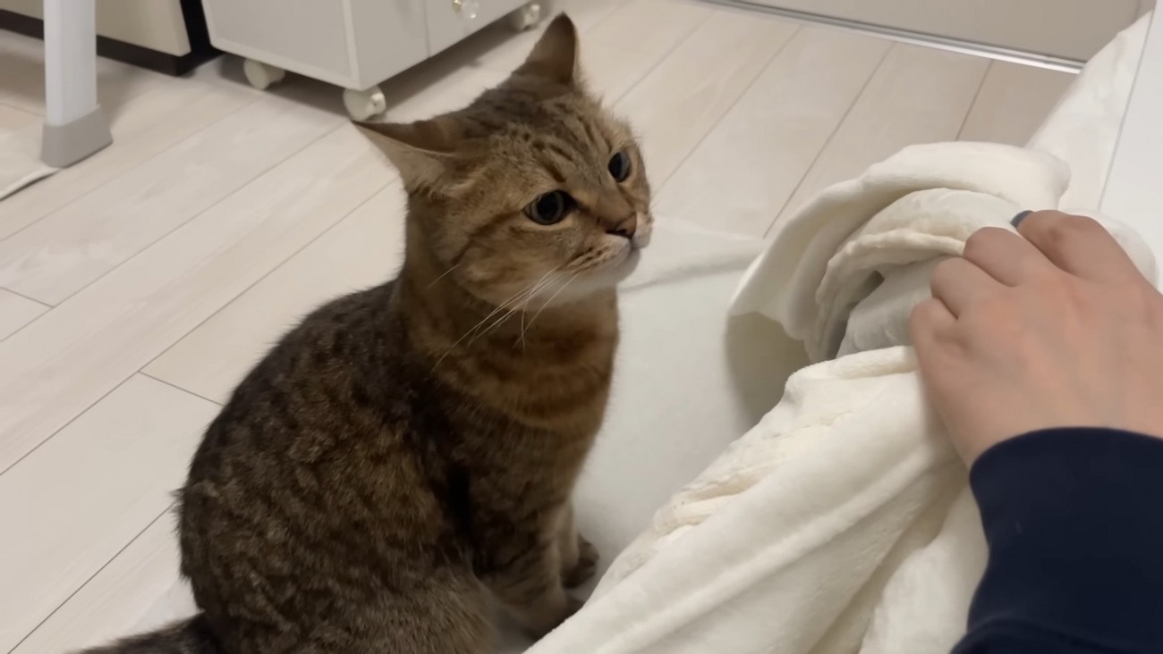 入るのをやめたみにらくん