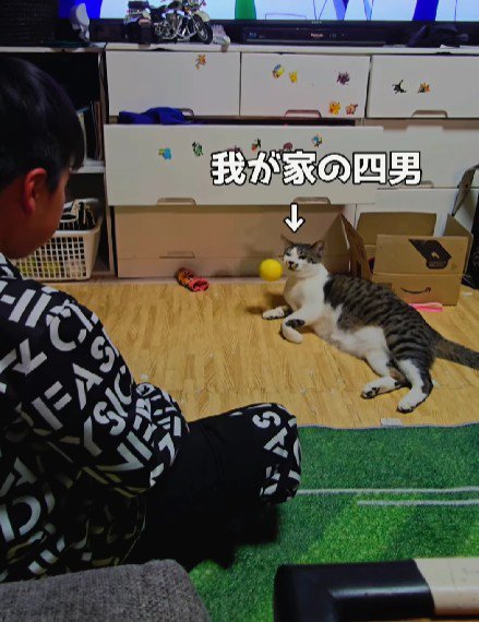 キャッチボールをする男の子と猫