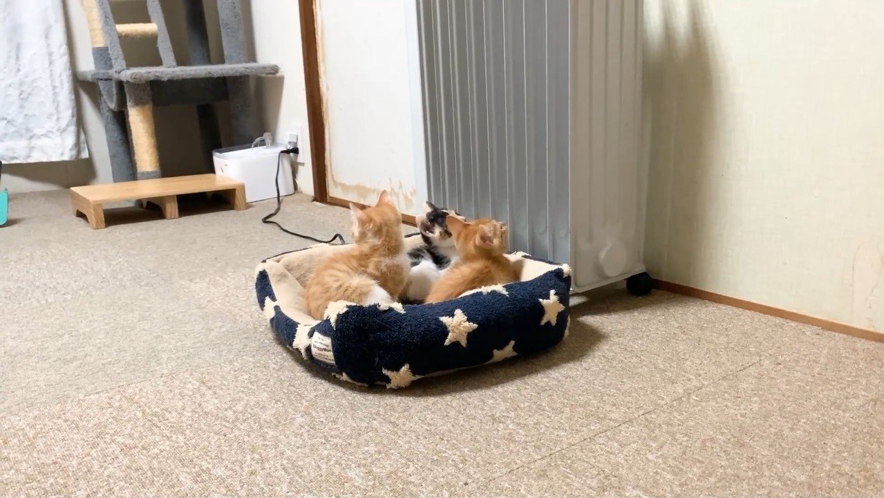 ヒーターを見上げて