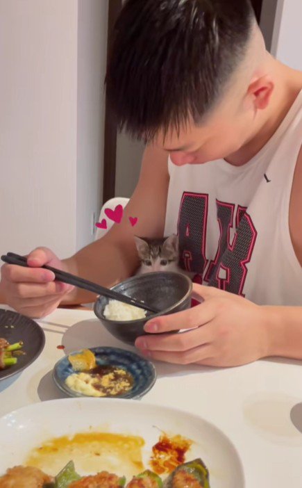 食事中の男性と子猫