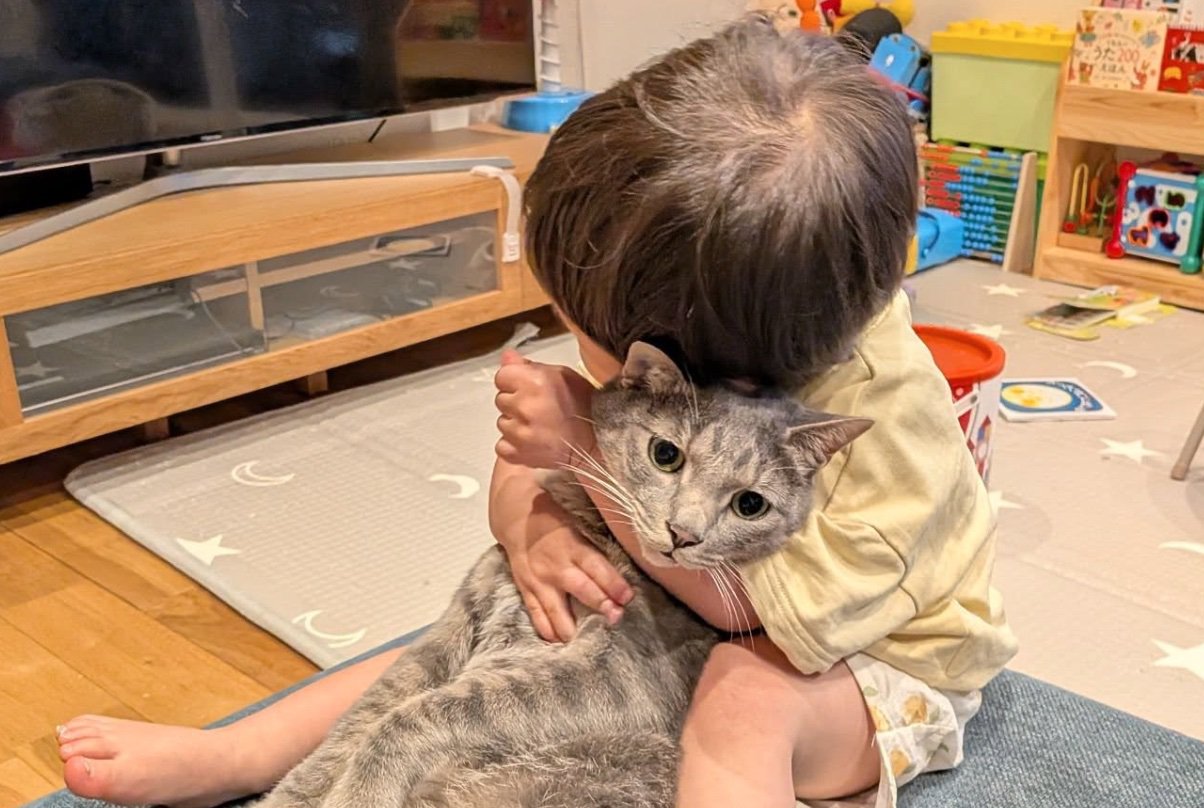 虚無顔の猫