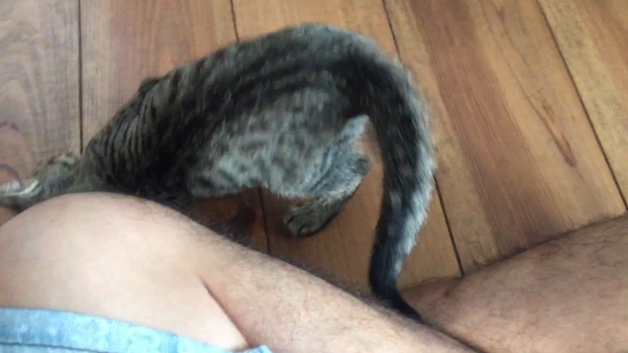 膝にくっついて