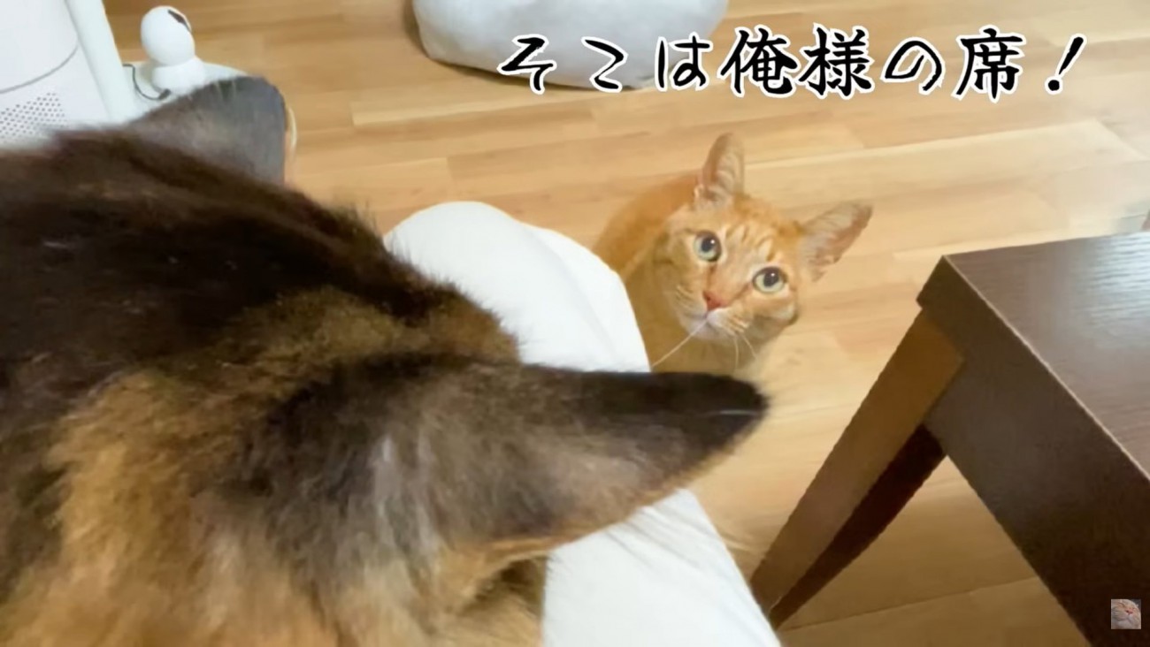 テロップ「そこは俺様の～」