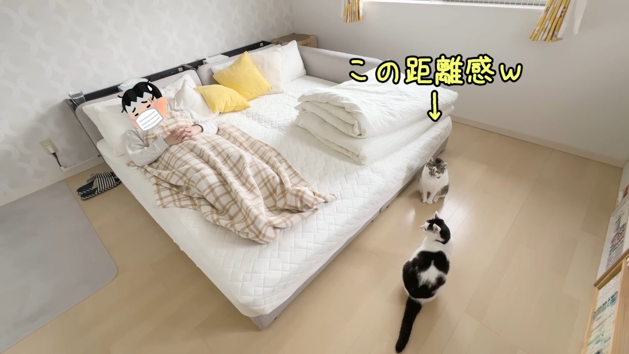 この距離感