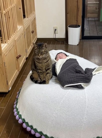 赤ちゃんが寝る布団のそばに座っている猫