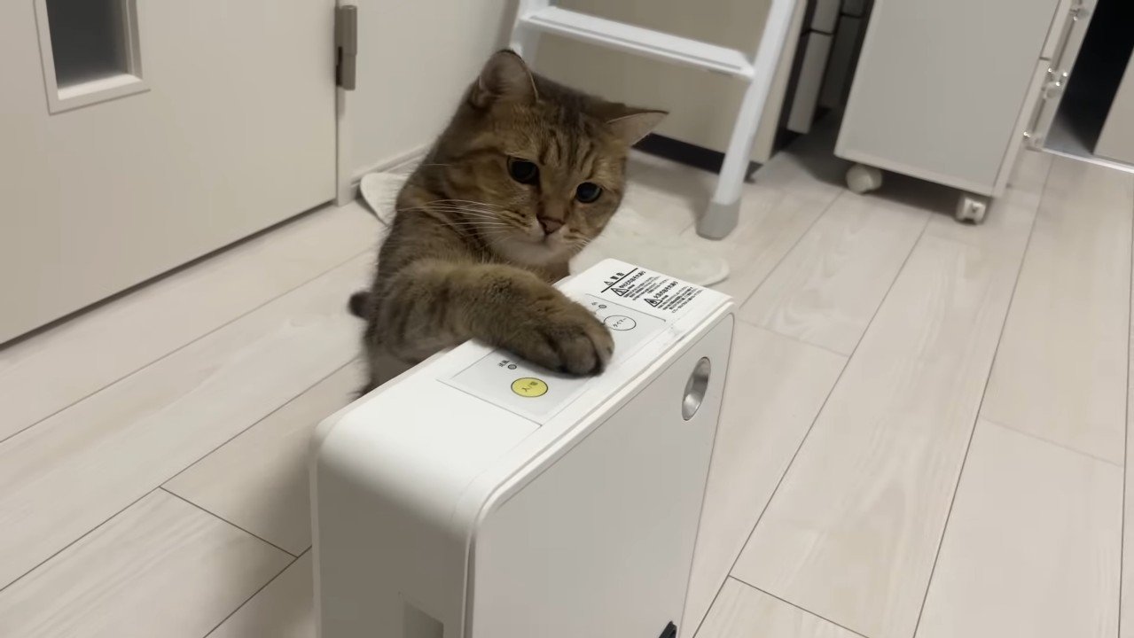 みにらくんがタッチ