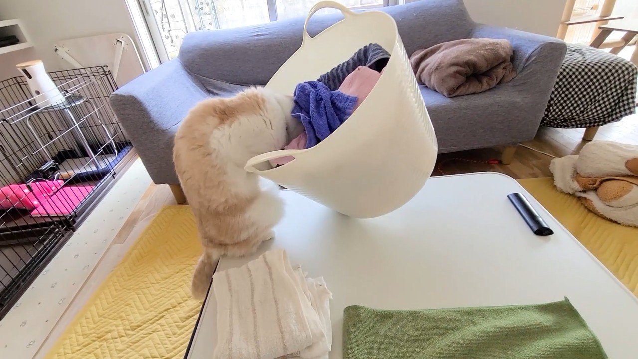洗濯カゴ