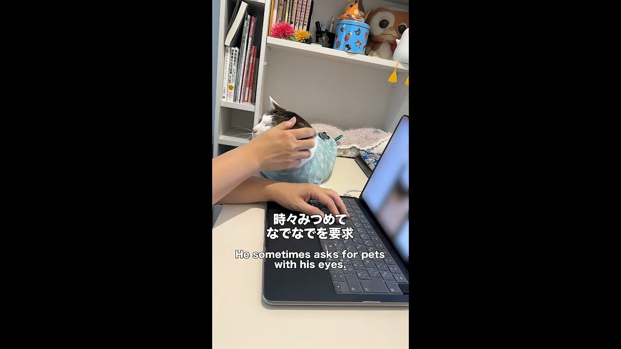 なでなでを要求