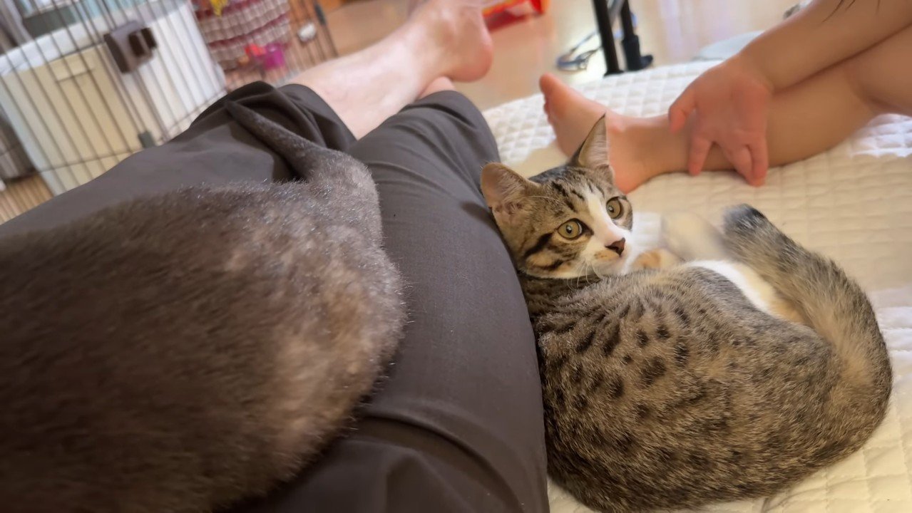 眠そうなむぎくん