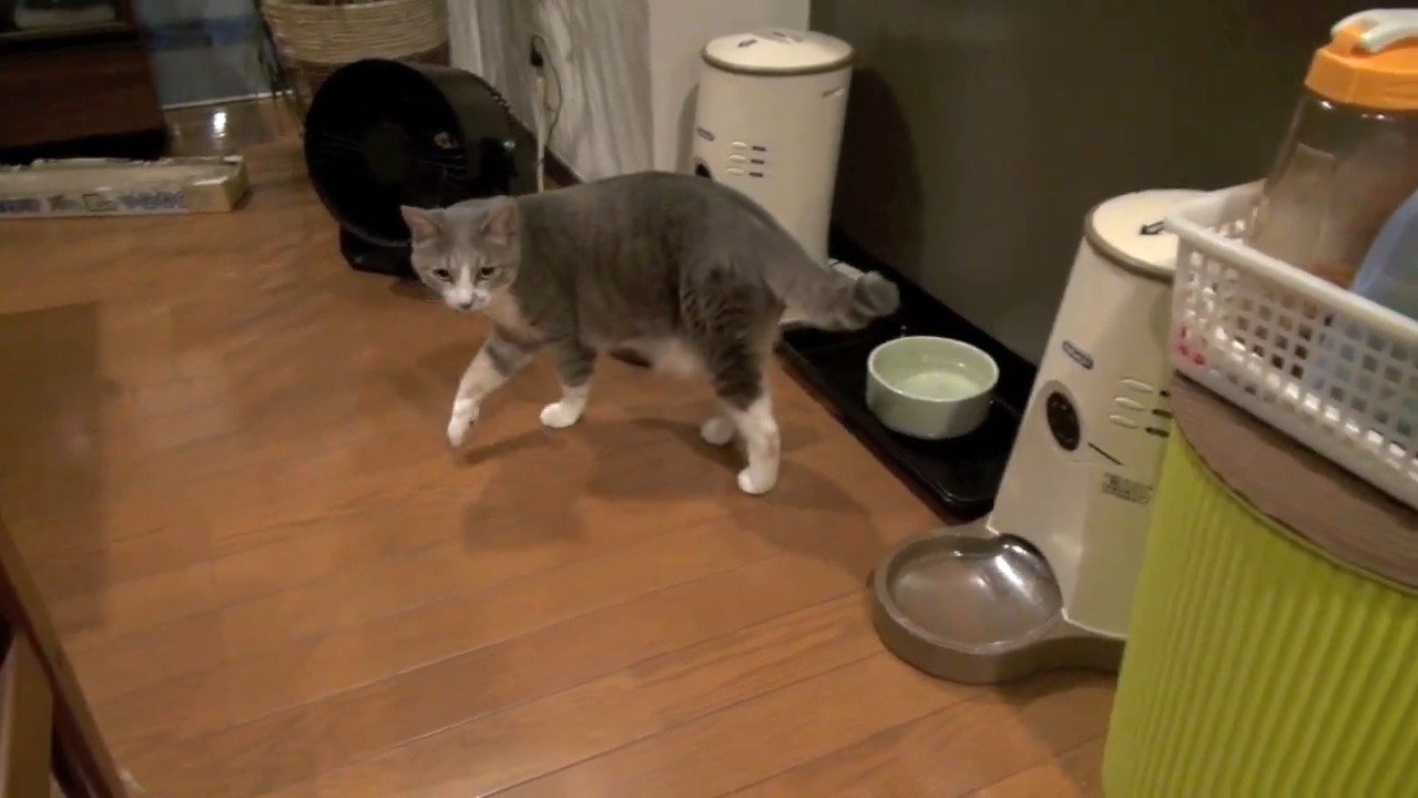 歩き出す姿
