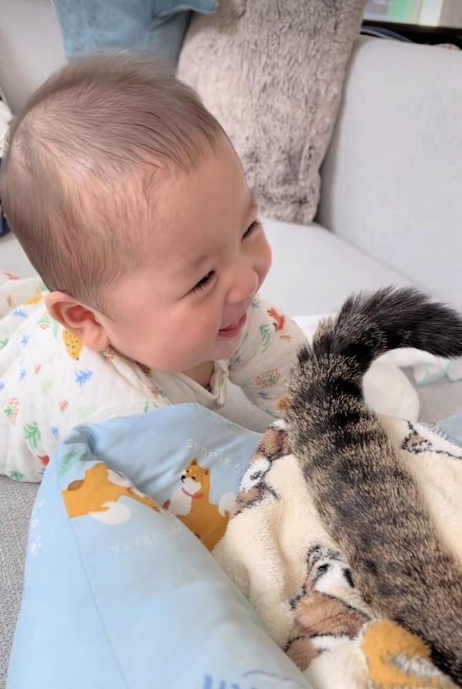 赤ちゃんを尻尾であやすキジトラ猫