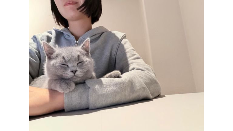 添い寝している猫