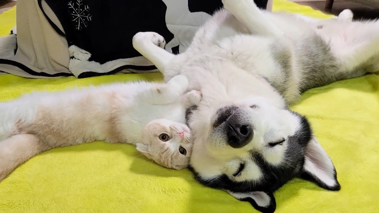 くっつくふたり