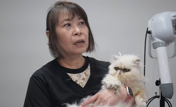 抱っこされる猫