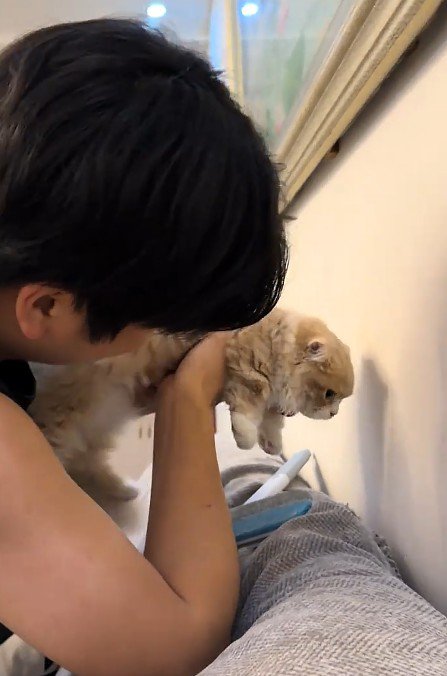 壁際で抱っこされた猫