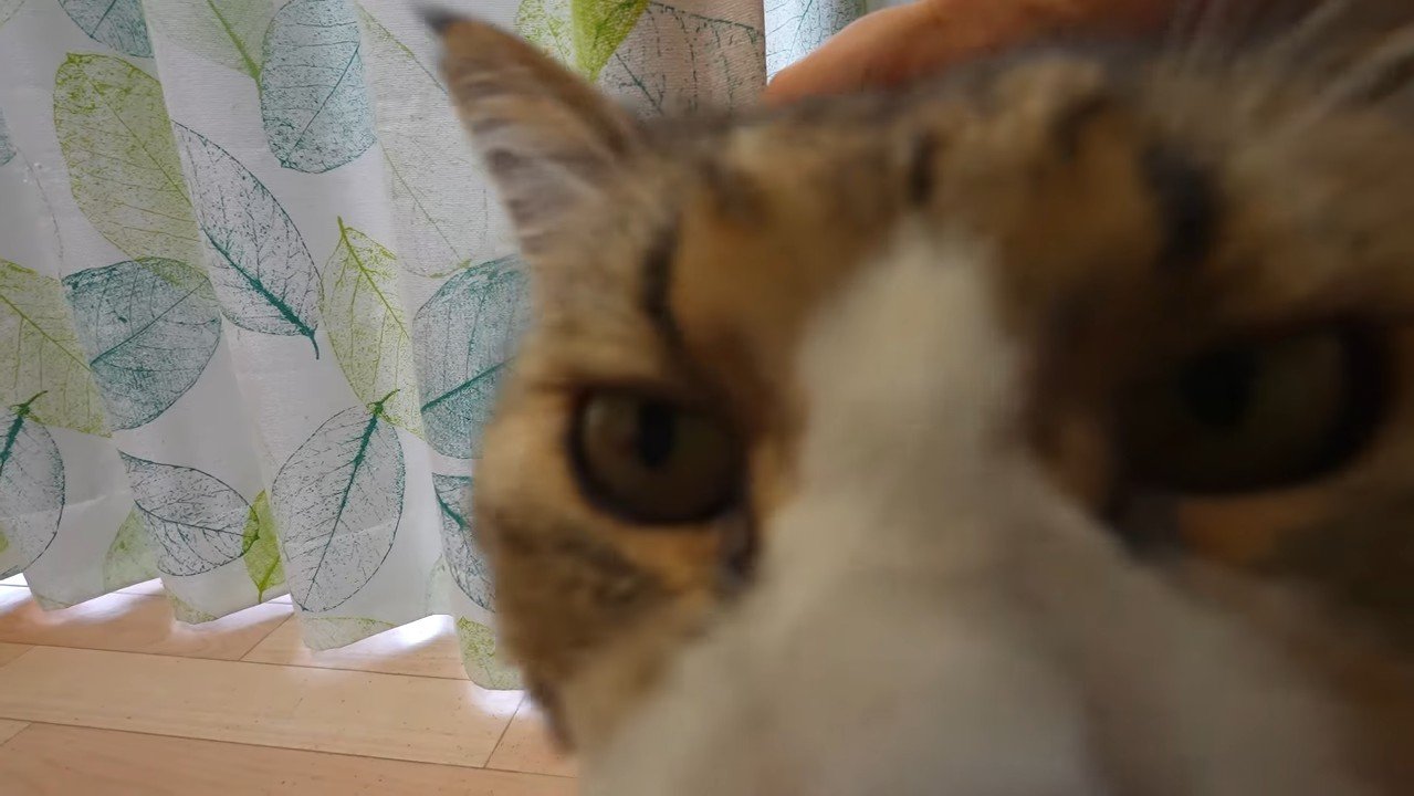ドアップ