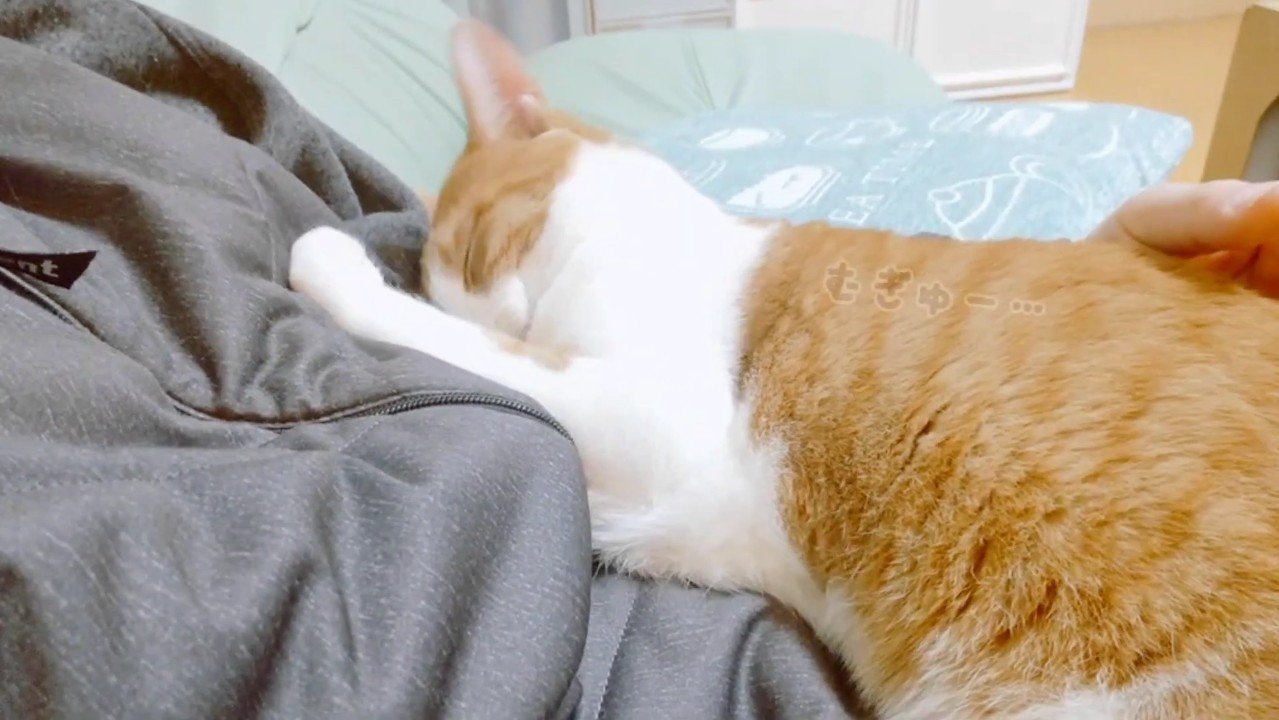 目を瞑ったお顔