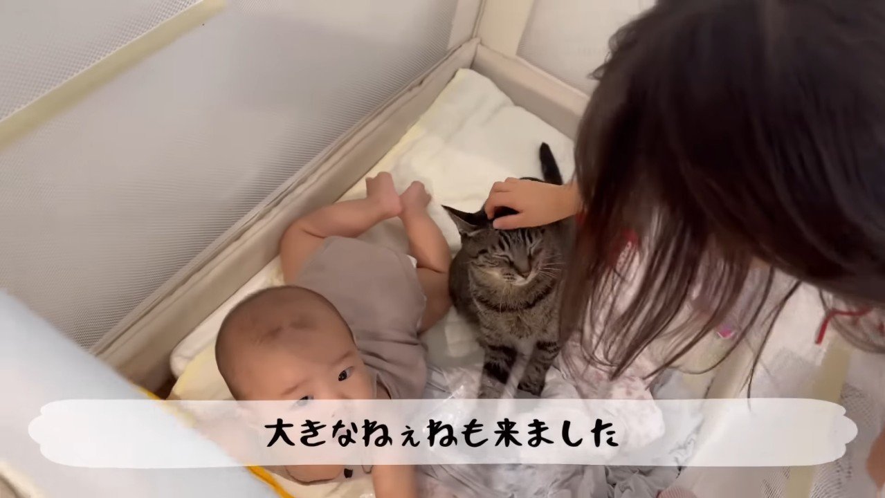 大きなねぇねも