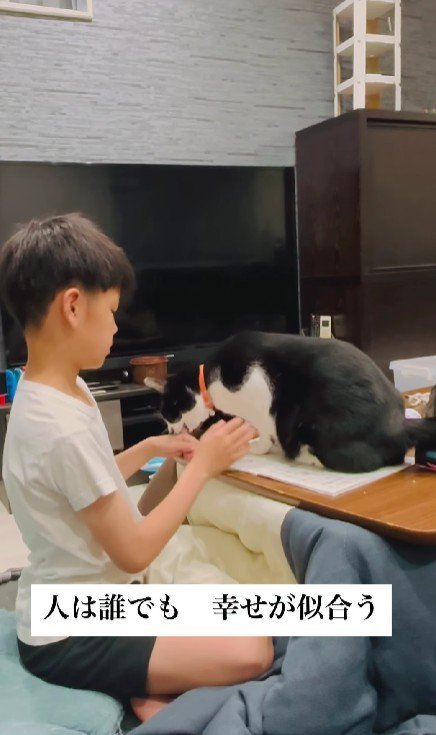 宿題の邪魔をする猫