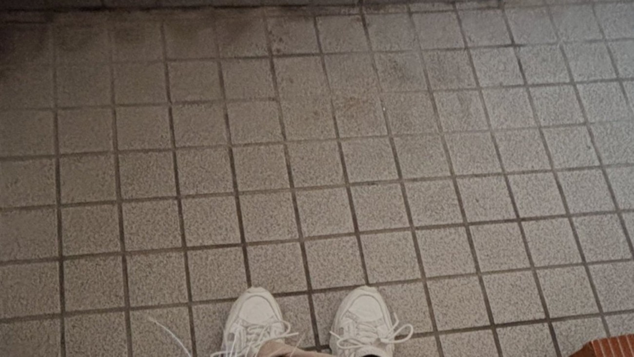 玄関と飼い主の靴