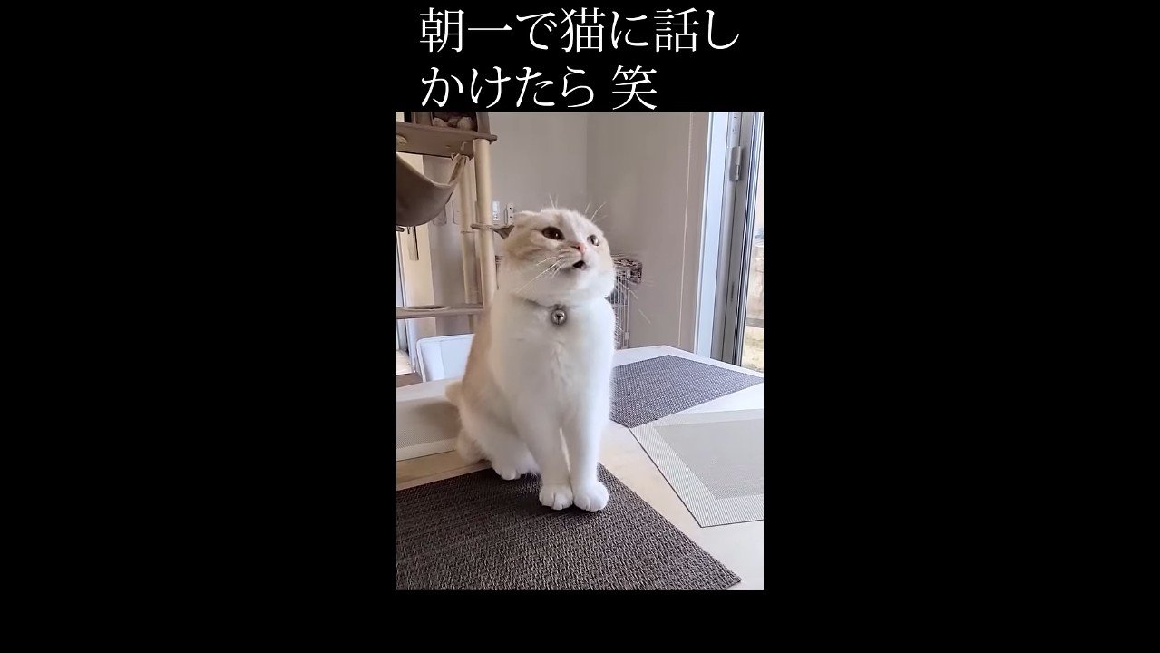 少し歯を見せて鳴く姿