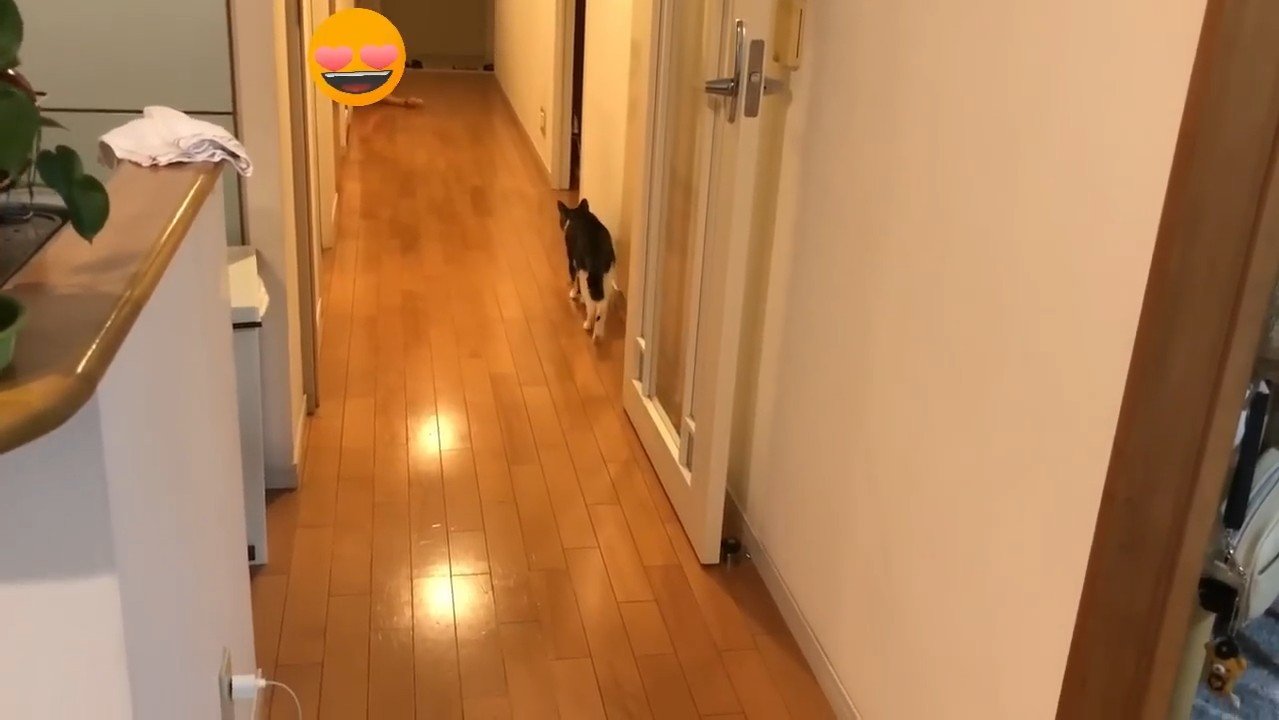 歩いて行く後ろ姿