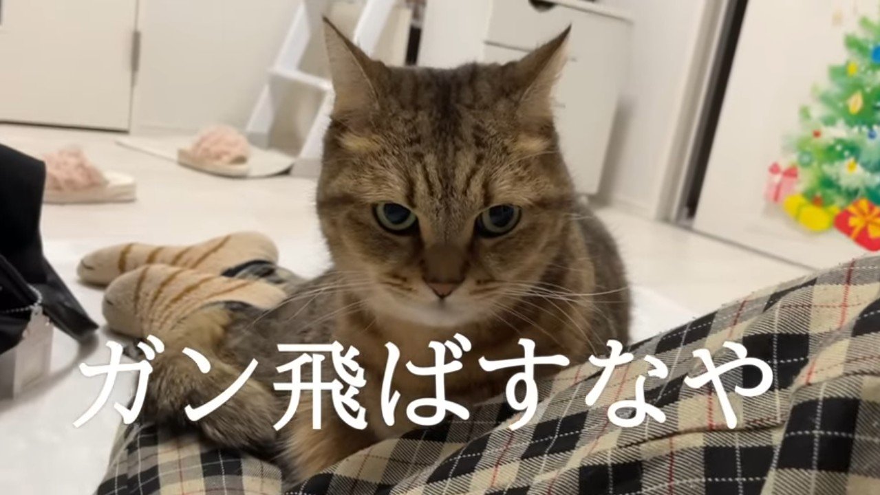 ガン飛ばすなや