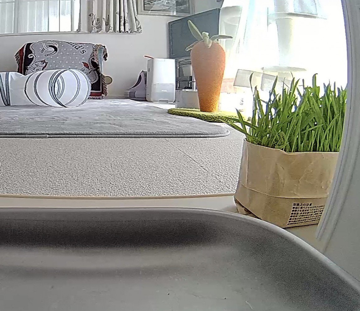 部屋の中を映すペットカメラの画像