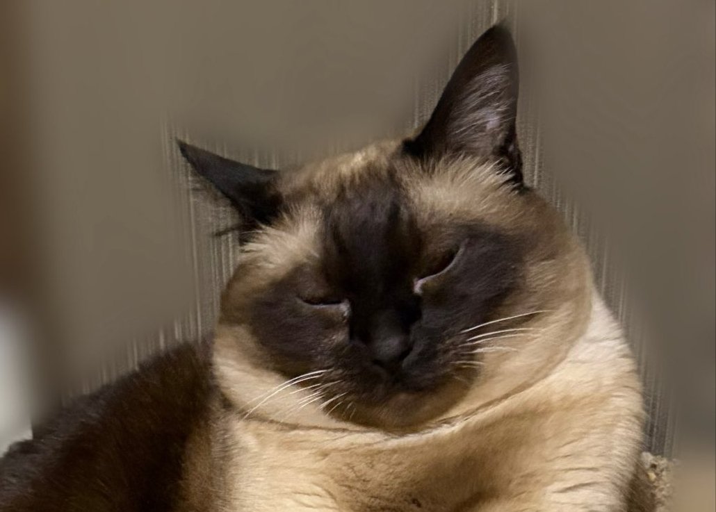 こじろーくん顔のアップ