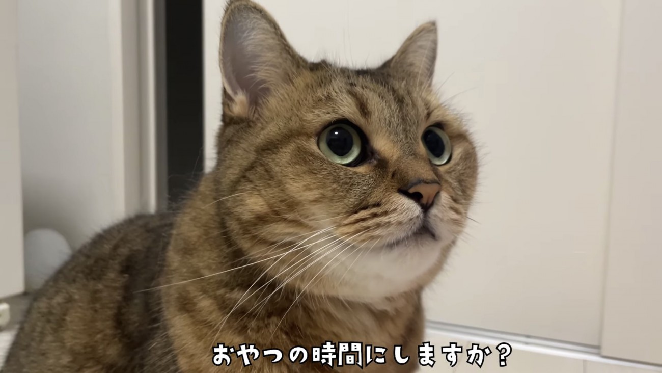 「おやつの時間にしますか？」のテロップ写真1
