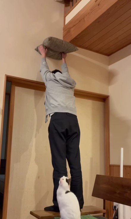 座布団を掲げる飼い主と猫