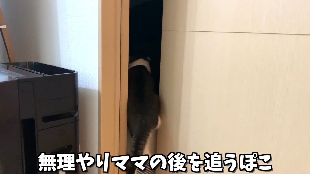 無理やりママの後を