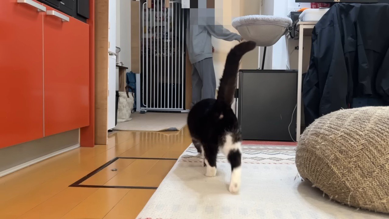 後ろ姿