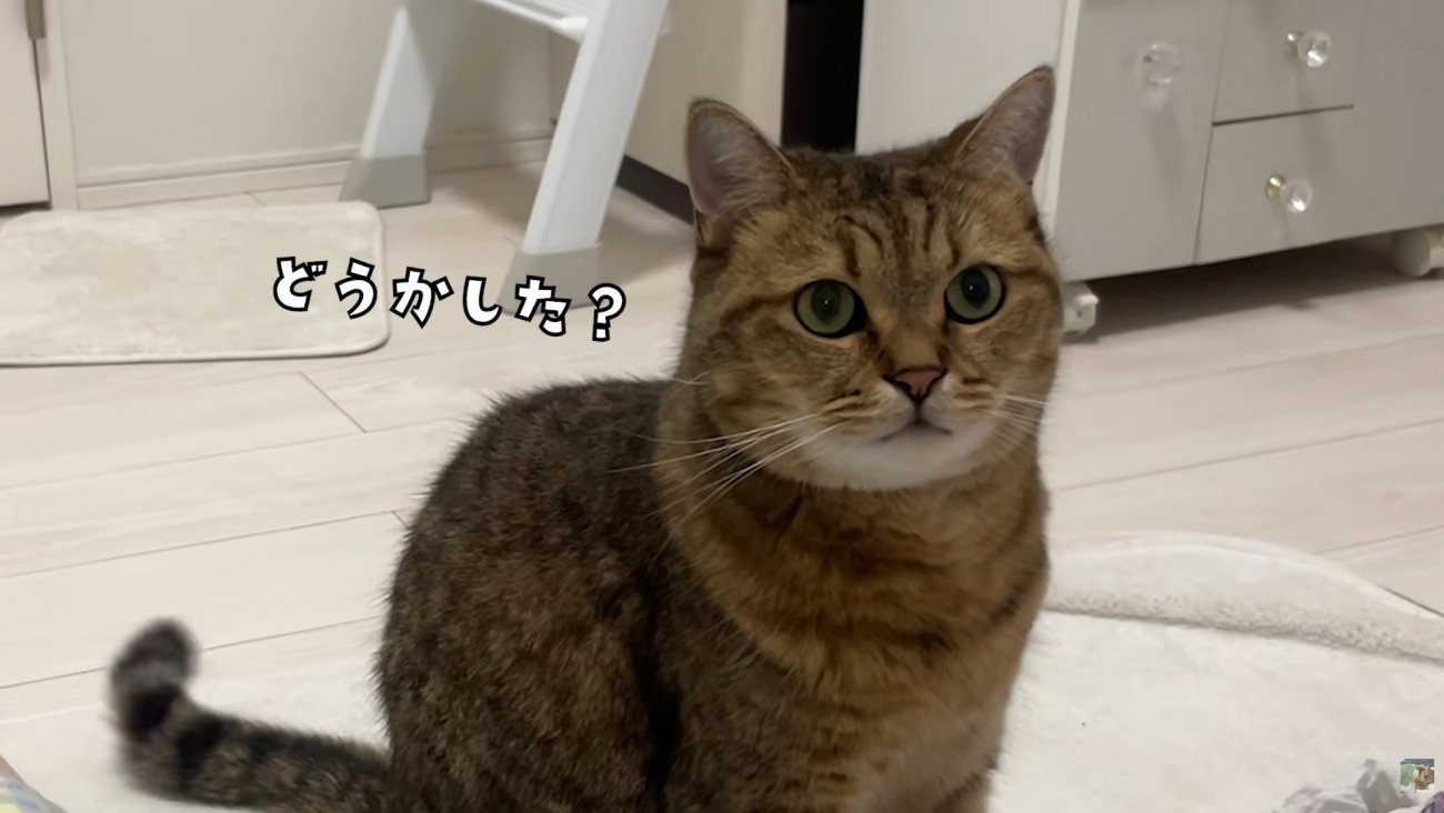 テロップ「どうかした？」