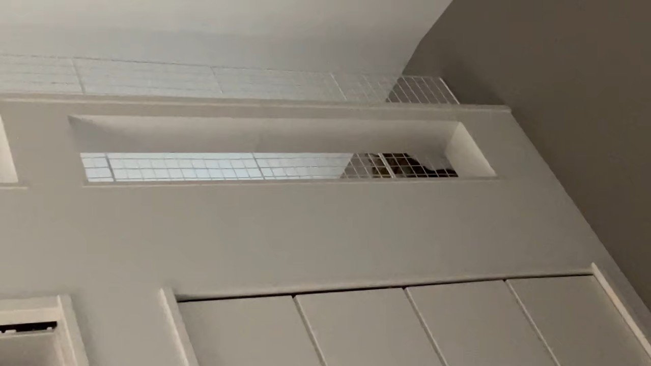 網目越し