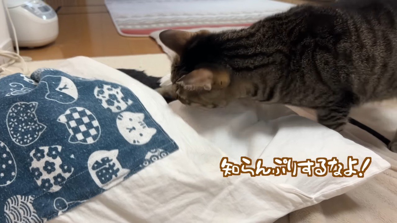 知らんぷりするなよ！