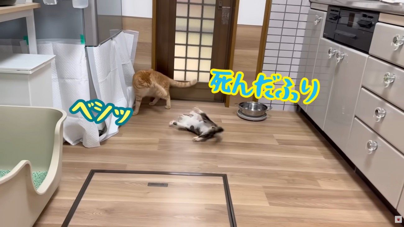 テロップ「ベシッ 死んだふり」