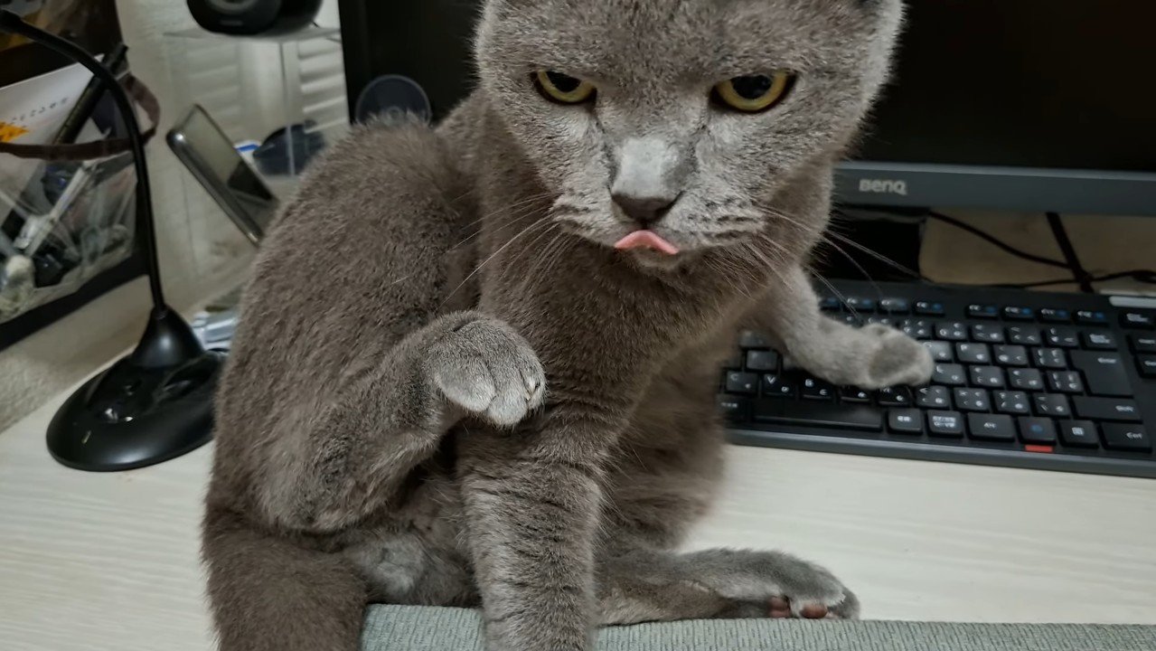 舌を出して