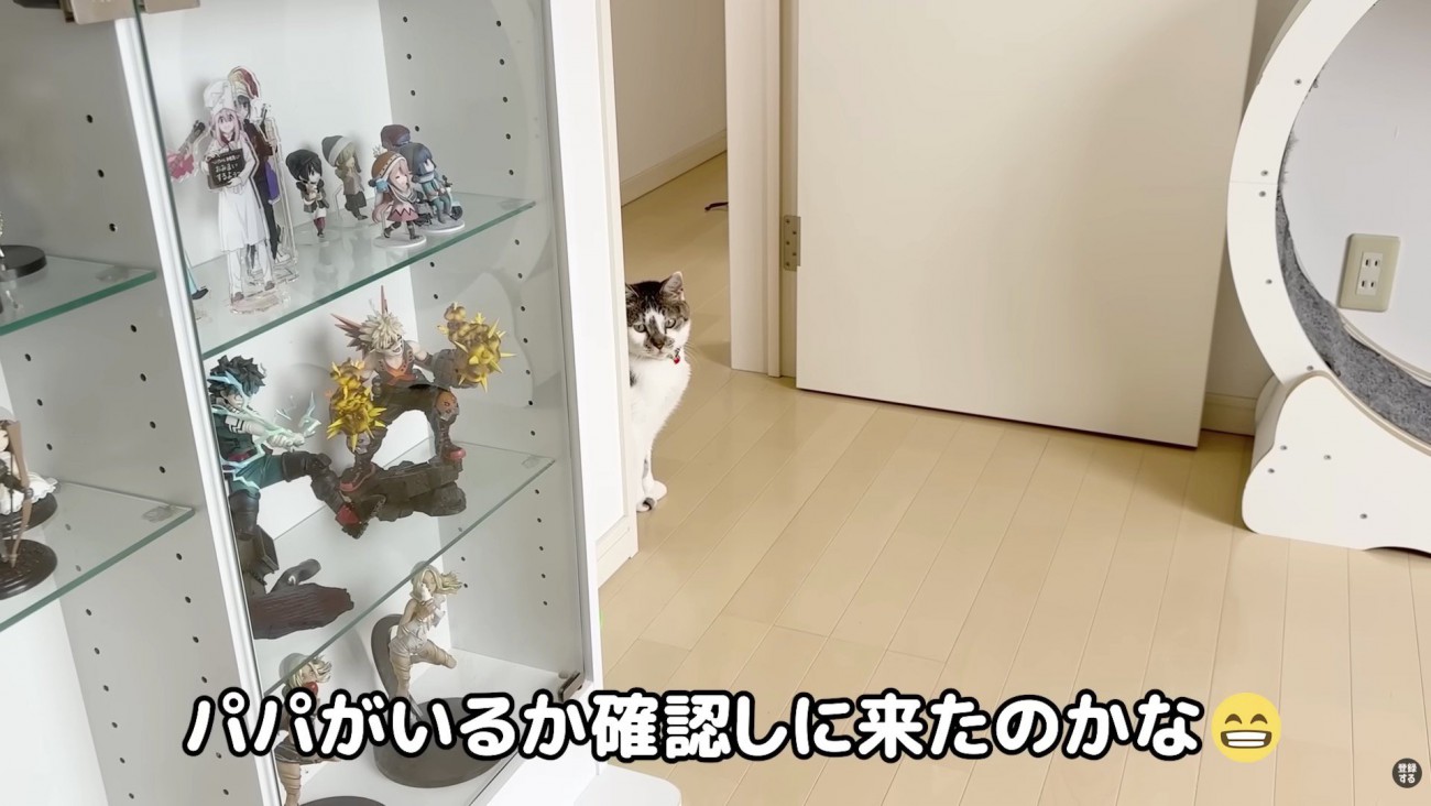 パパさんをチェック