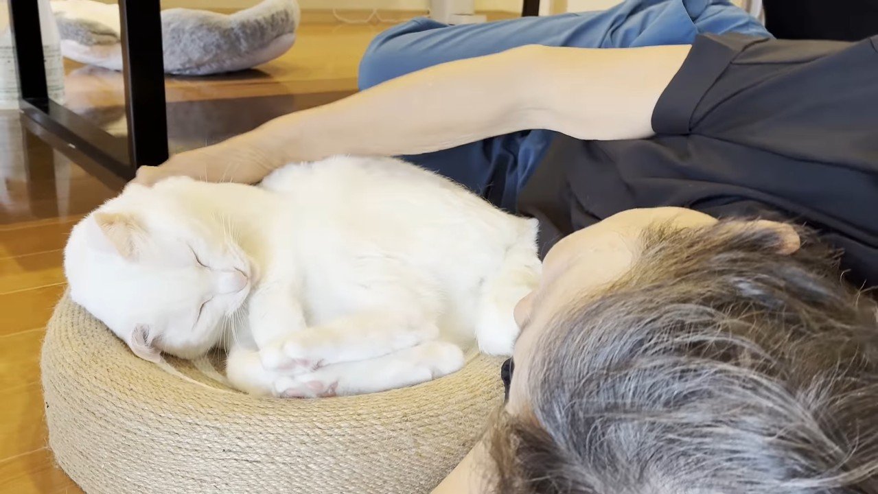 眠った姿