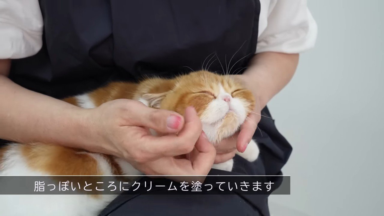 脂が出やすいところに