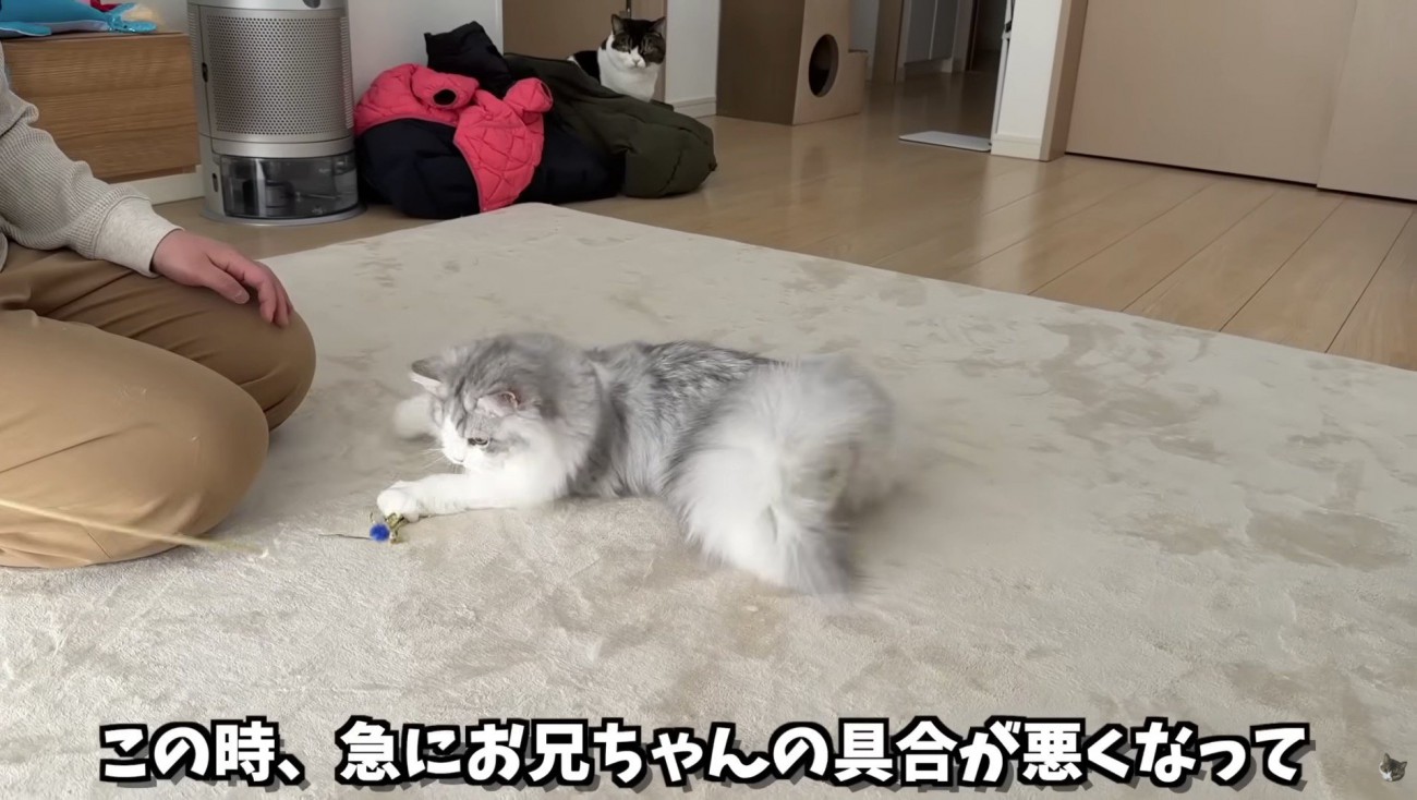 体調不良が発覚